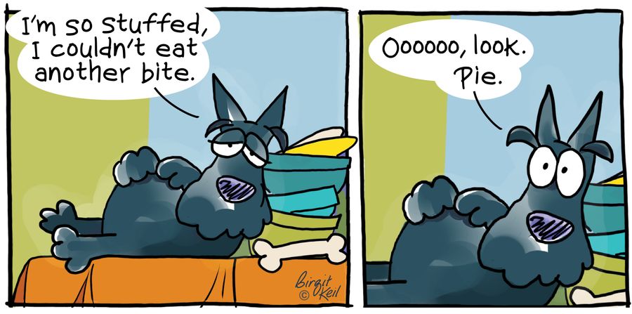 "I'm so stuffed I couldn't eat another bite."