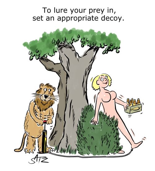 To lure you prey in, set an appropriate decoy.