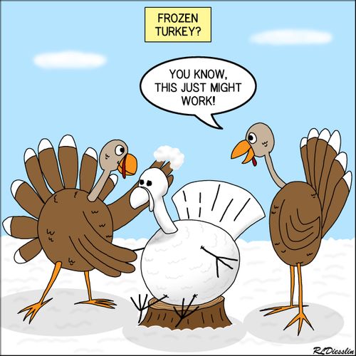 Turkey Decoy