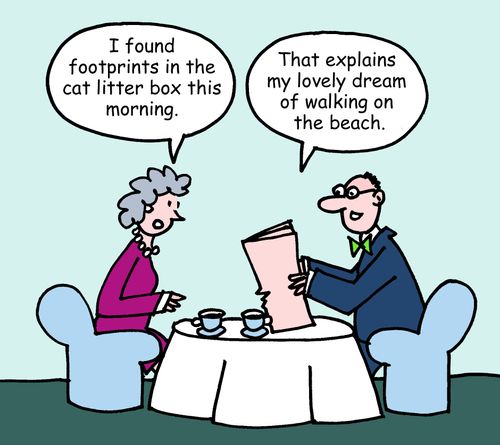 "I found footprints in the cat litter box this morning."