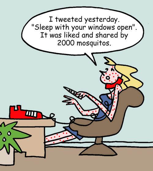 "I tweeted yesterday. 'Sleep with your windows open'. It was liked and shared by 2000 mosquitos."