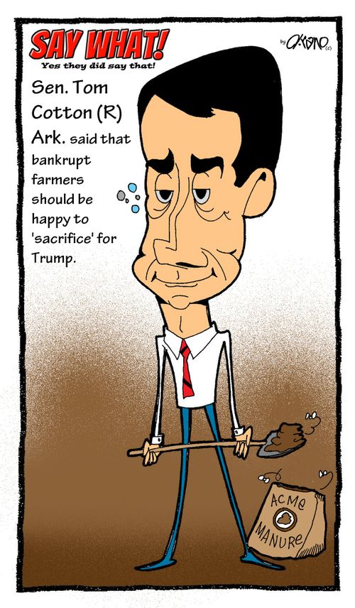 Tom Cotton
