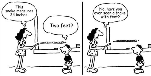 "This snake measures 24 inches." 
