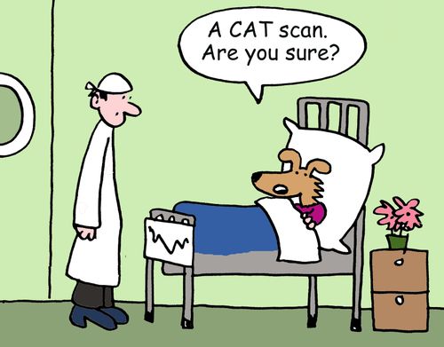 "A CAT scan? Are you sure?"