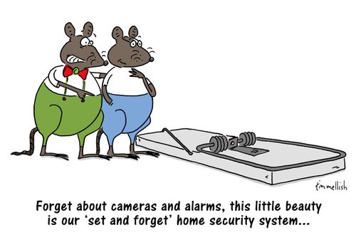 "Forget about cameras and alarms, this little beauty is our 'set and forget' home security system. . ."