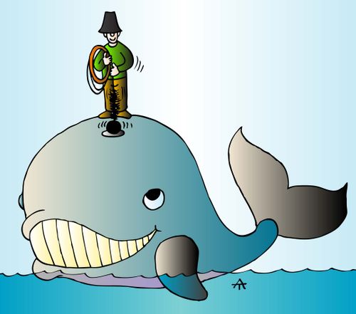 Whale