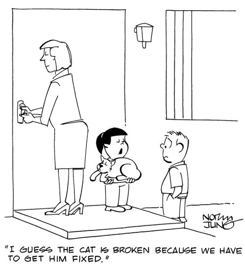 "I guess the cat is broken because we have to get him fixed."
