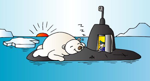 Polar Bear 