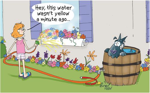 "Hey, this water wasn't yellow a minute ago..."