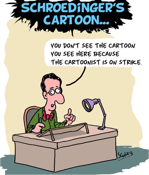 Schroedinger's Cartoon