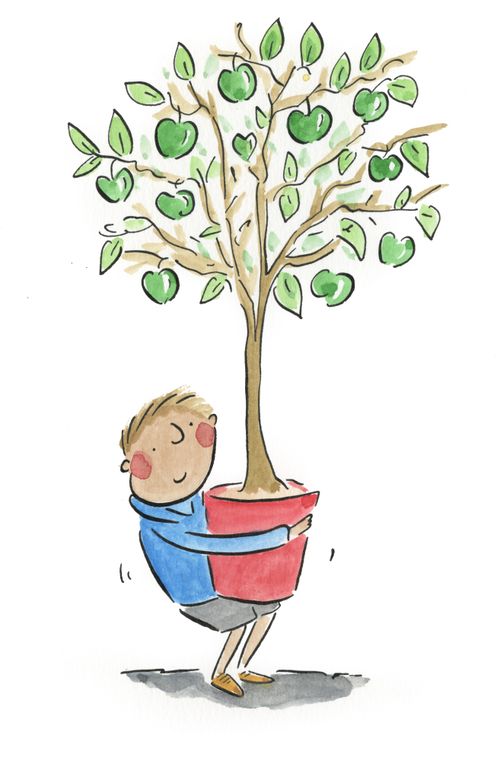 Apple Tree