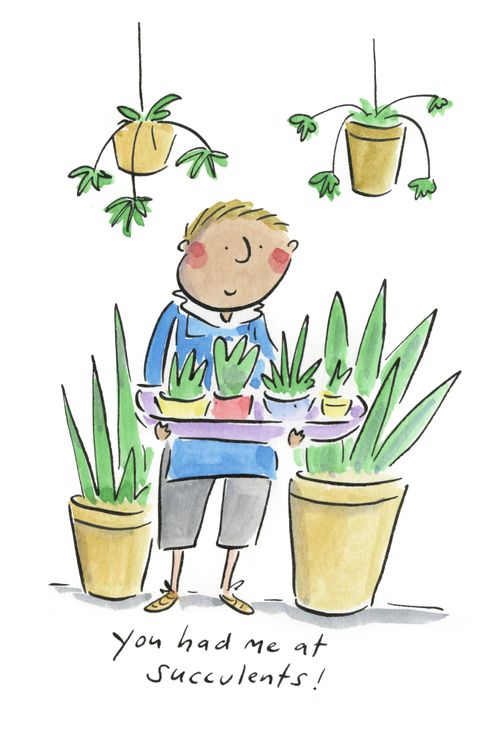 You had me at succulents!