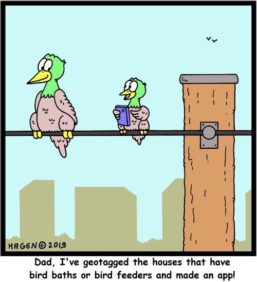"Dad, I've geotagged the houses that have bird baths or bird feeders and made an app!"
