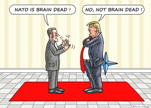 "Nato is brain dead!"