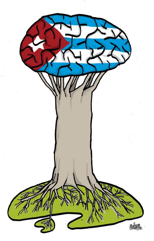 Cuban Roots