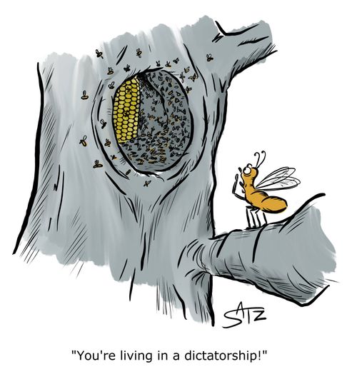 "You're living in a dictatorship!"