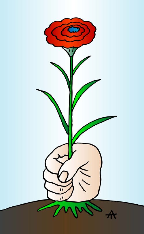 Rose
