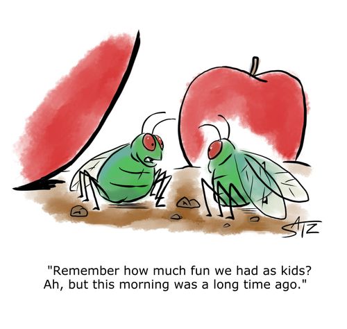 "Remember how much fun we had as kids? Ah, but this morning was a long time ago."