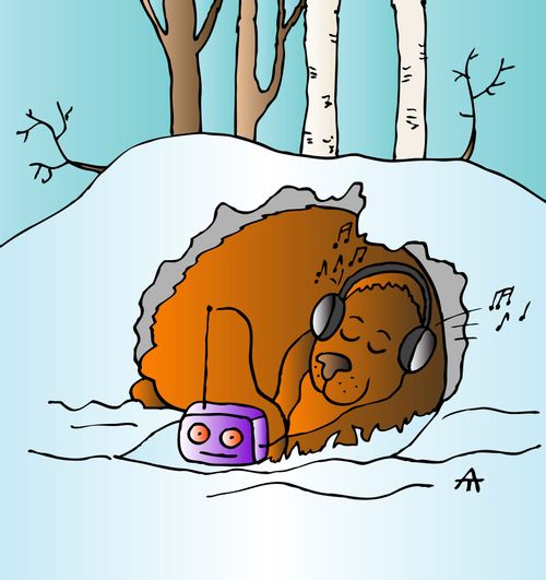 Bear