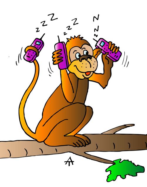 Chatterbox Monkey