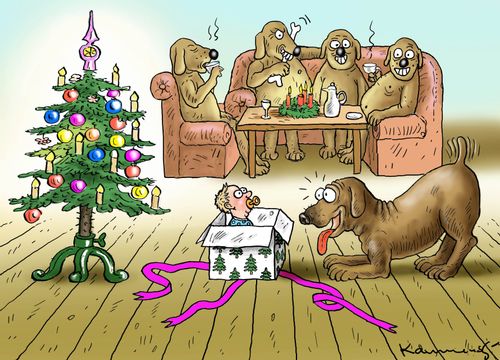Dog family get a baby for Christmas