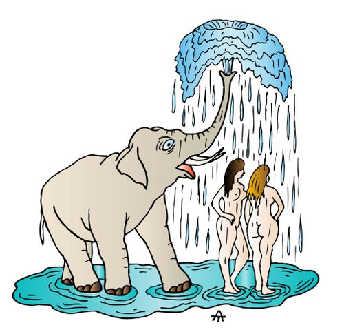 Elephant and women