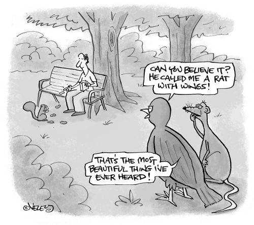 "Can you believe it? He called me a rat with wings!"