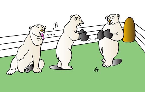 Bears