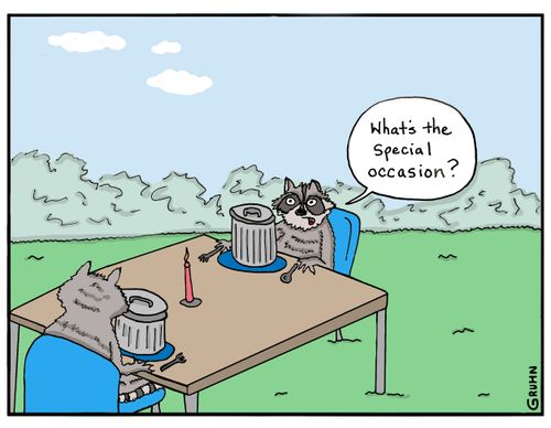 "What's the special occasion?"