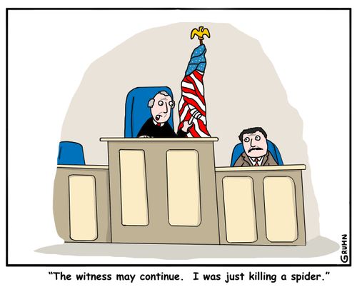 "The witness may continue. I was just killing a spider."