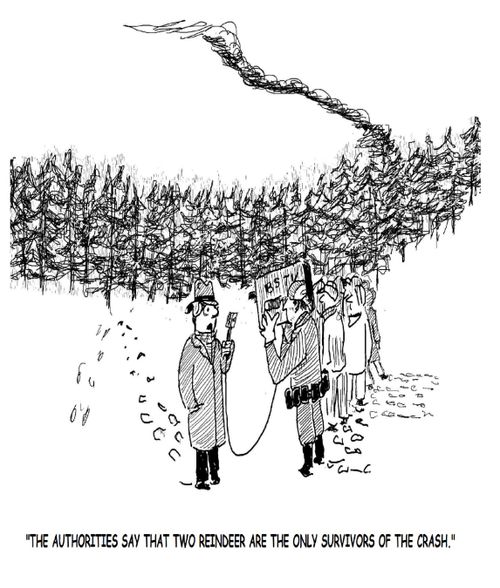 "The authorities say that two reindeer are the only survivors of the crash."
