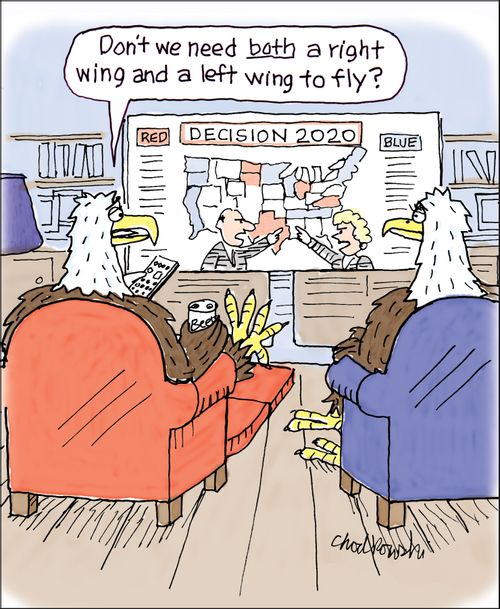 "Don't we need both a right wing and a left wing to fly?"
