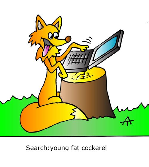 Search: young fat cockerel.