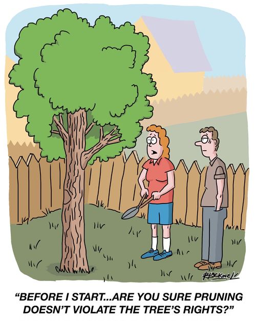 "Before I start. . . . are you sure pruning doesn't violate the tree's rights?"