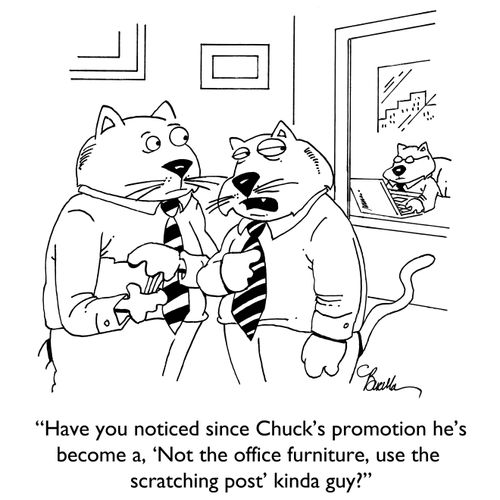 "Have you noticed since Chuck's promotion he's become a, 'Not the office furniture, use the scratching post' kinda guy?"
