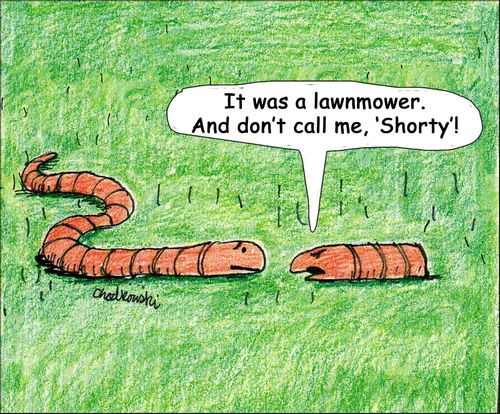 "It was a lawnmower. And don't call me, 'Shorty'!"