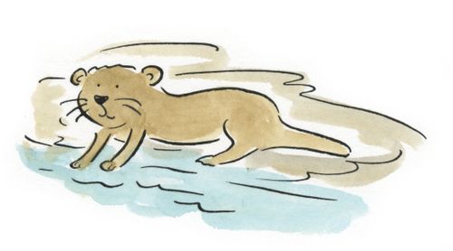 Otter