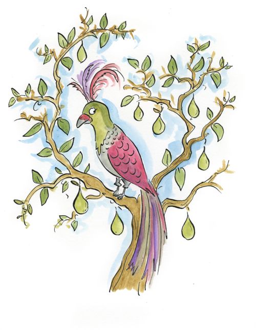 A Partridge in a Pear Tree