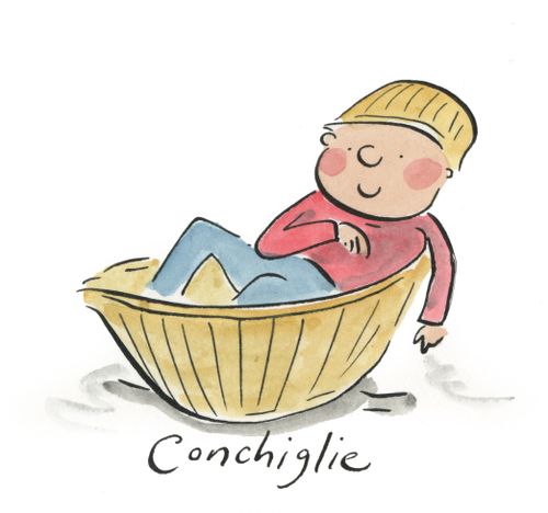 Conchiglie