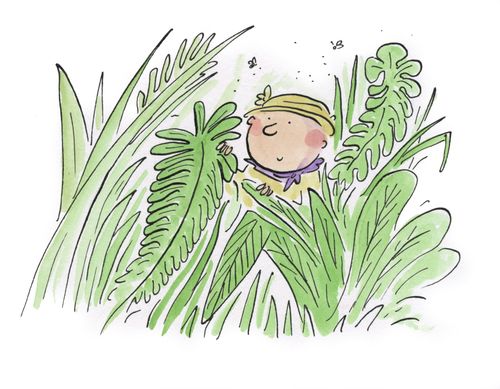 Jungle
