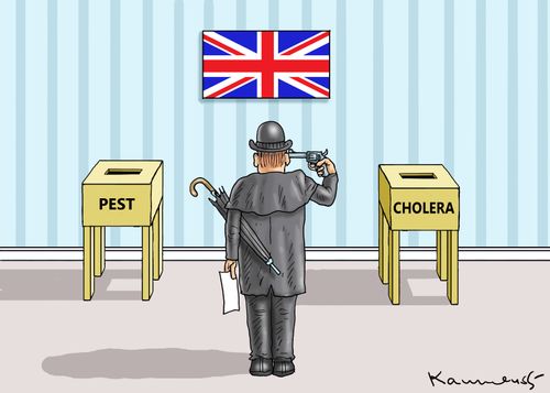General Election Choices