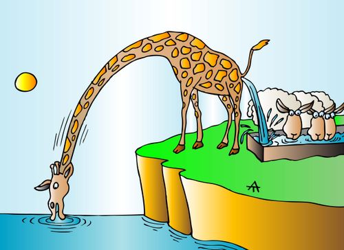 Giraffe