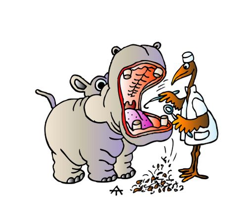 Hippo and dentist