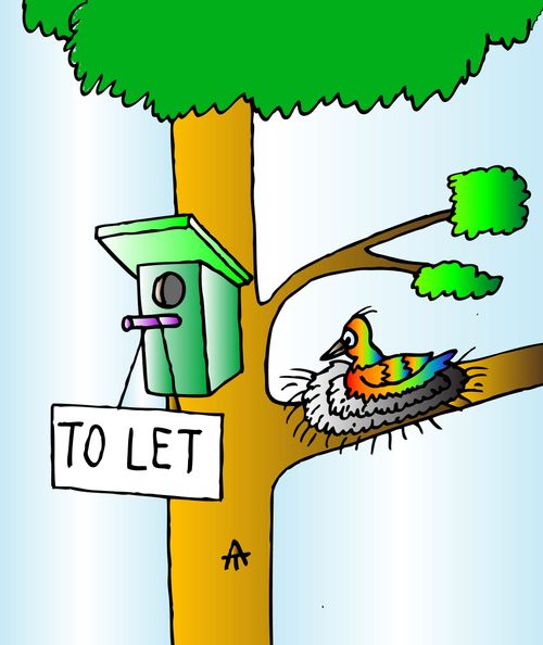 To Let