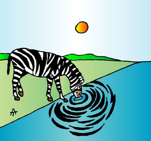 Zebra