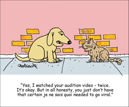 "Yes, I watched your audition video - twice. It's okay. But in all honesty, you just don't have that certain je ne sais quoi needed to go viral."