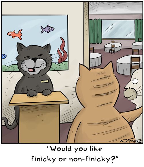 "Would you like finicky or non-finicky?"