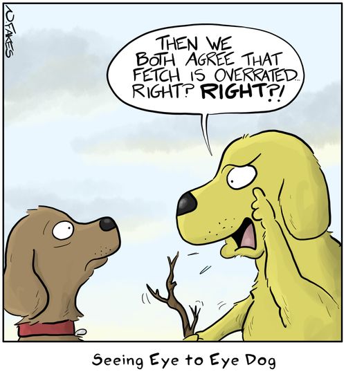 Seeing Eye to Eye Dog