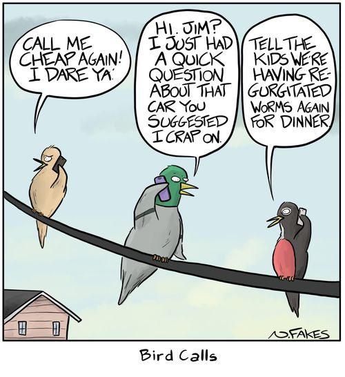 Bird Calls