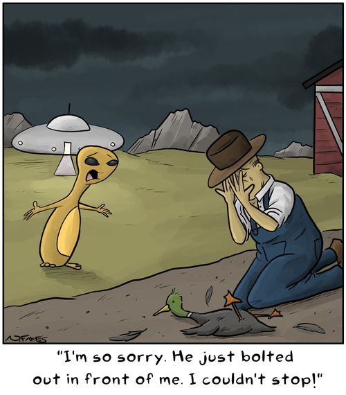 "I'm so sorry. He just bolted out in front of me. I couldn't stop!"